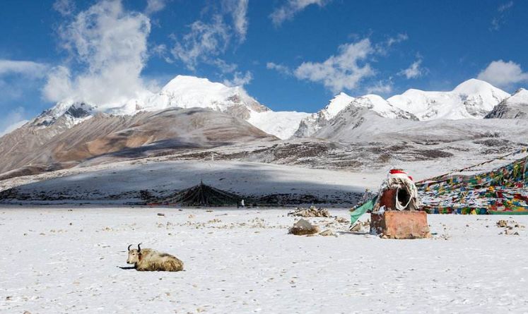 我和Links的雪山之旅，一次心灵的觉醒与成长