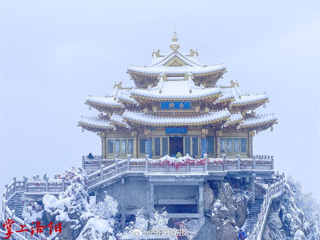 老君山景区紧急闭园事件深度解析