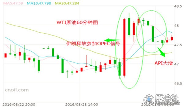 1月29日美股，英伟达重整旗鼓反弹超8%