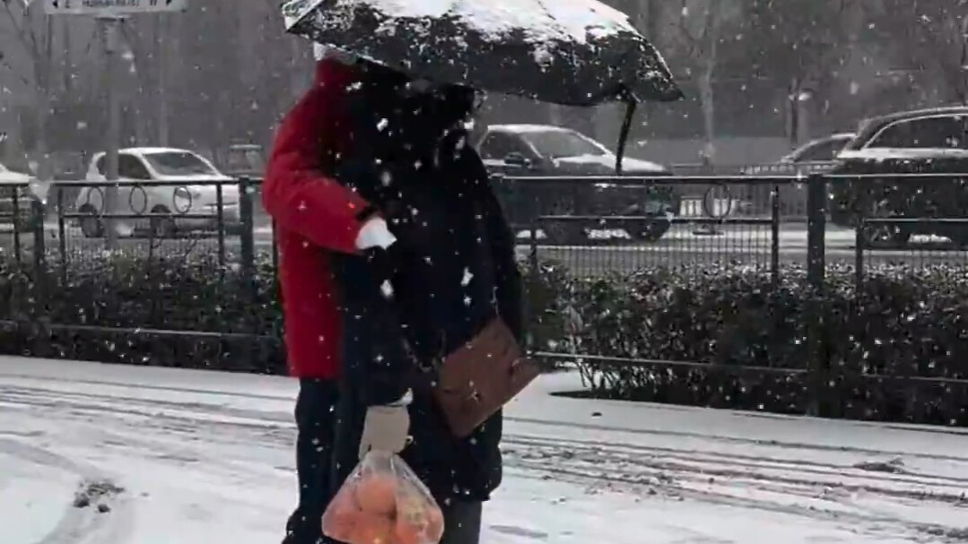 济南遭遇大暴雪！罕见天气现象背后的真相与影响