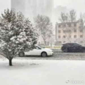 山东多地遭遇罕见暴雪，积雪深度惊人达13厘米——深度剖析此次极端天气事件