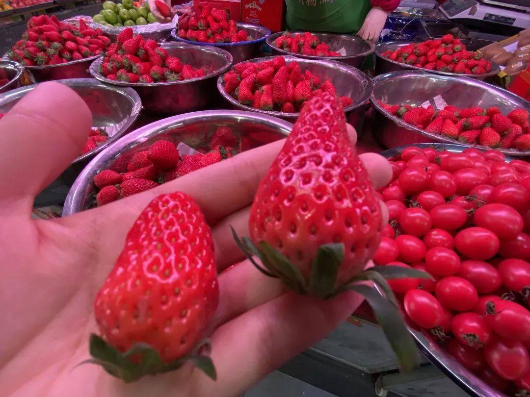 草莓价格引热议，香港地区的草莓定价究竟是否合理？