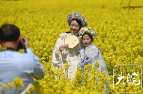 南宁惊现学生遭蜜蜂围攻倒地事件，背后隐藏哪些不为人知的秘密？