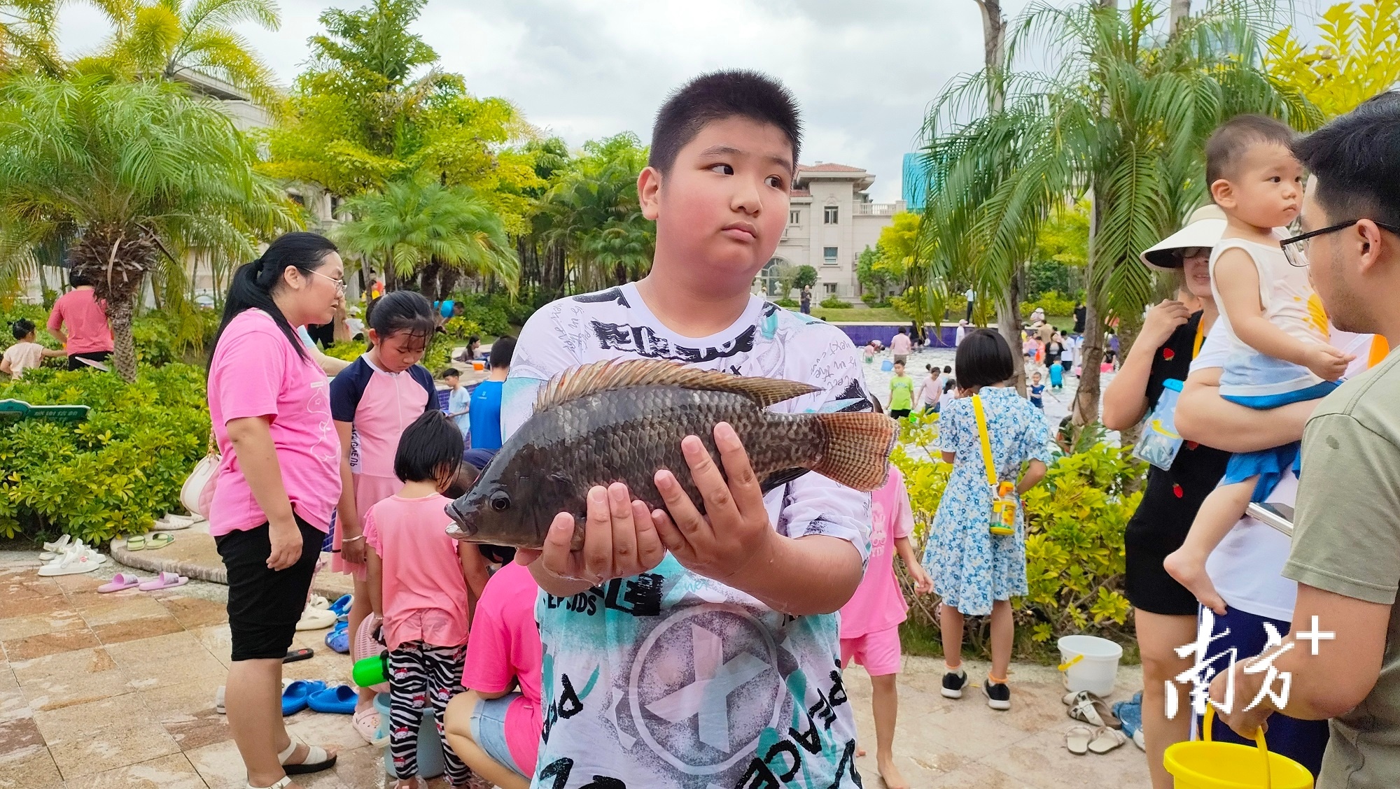 惊疑揭秘三亚漂流少年失踪事件背后真相揭晓，父亲辟谣水塘抽干行动内幕揭秘！